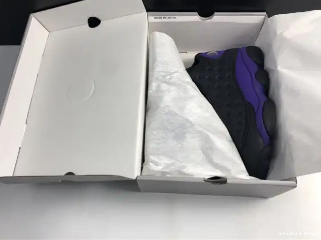 Rep Court 13 DJ5982-015 Purple Jordan Air 0502